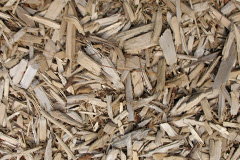 biomass boilers Jerrettspuss